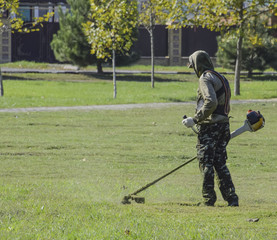 Worker mowing the lawn. Mowing grass trimmer