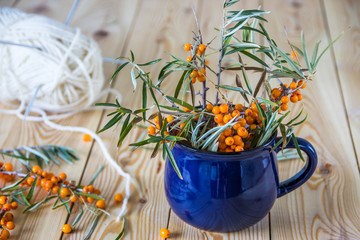 Sea-buckthorn in a blue mug. Branches of sea-buckthorn orange berries