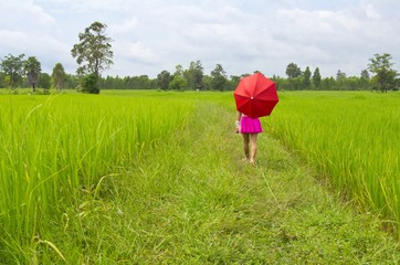 Little girl with red umbrella in Thai rice fields.