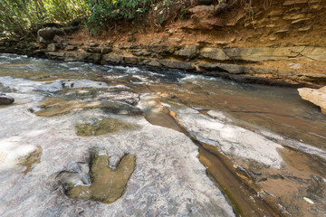 Footprint of dinosaur ( Carnotaurus ) on ground near stream at Phu Faek national forest park ,...