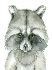 Raccoon watercolor kid