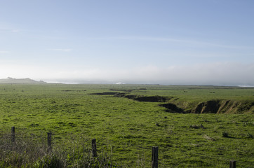 California pastures