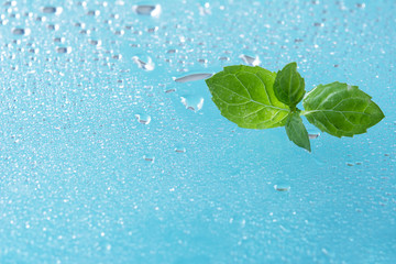 ミント　水滴     © tamayura39