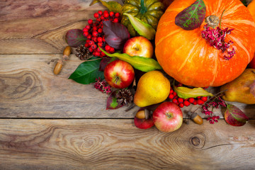 Thanksgiving background with pumpkin, apples, pear table centerpiece, copy space.