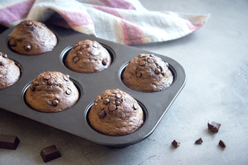 Chocolate Muffins