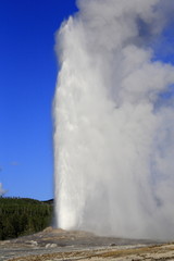 Old Faithful Geyser in Yellowstone National Park