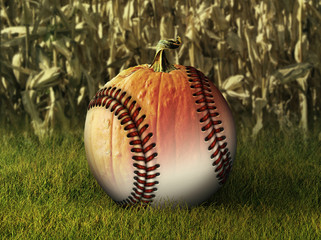 Half Baseball Half Pumpkin in Fall Setting