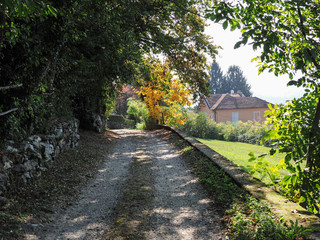 country trail with house in the woods