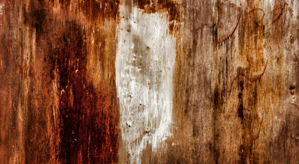 Grunge rusted metal texture. Rust background. Background and texture. Old rusty metal texture background