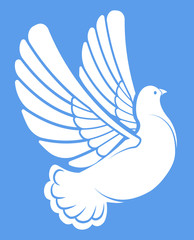 Vector illustration of simple white pigeon dove bird