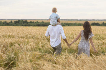 Naklejka na ściany i meble Happy childhood, family walking on the wheat field