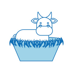 nativity cow in the wooden cradle manger