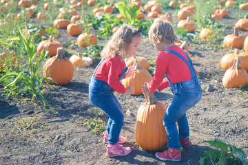 Two little girls carrying pumpkin at field patch
