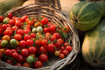 Home grown Cherry Tomatoes