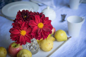 Dahlias on the table