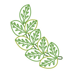 stem with leaves icon over white background vector illustration