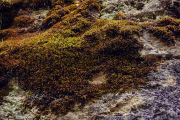 texture of natural stone