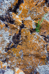 natural background, натуральный камень, grunge texture