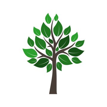 Tree symbol, Tree icon 