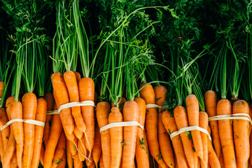 bunch of fresh carrots