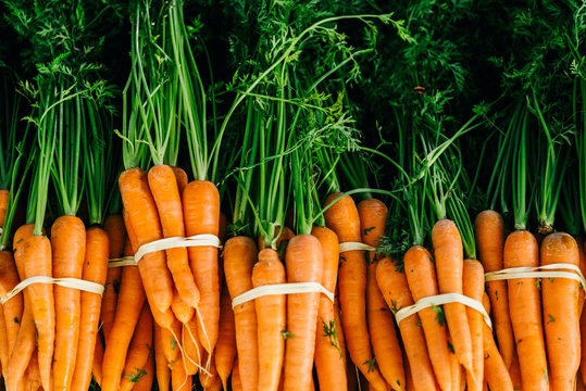 bunch of fresh carrots