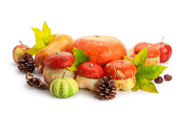 Autumn display with pumpkin and leaves isolated on white background
