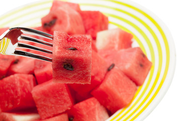 Watermelon fruit cube slice