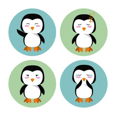 Cute penguin cartoon icons icon vector illustration graphic design