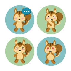Cute squirrel icons icon vector illustration graphic design
