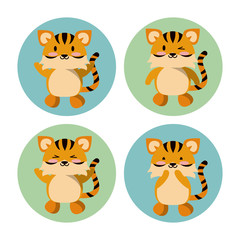 Cute tiger icons icon vector illustration graphic design