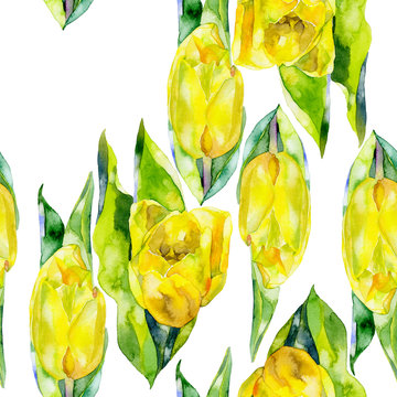 Yellow, beautiful, garden, decorative tulip. Spring, summer, feminine, first, purple flower. A fragrant, fresh, beautiful flora. Watercolor. Illustration