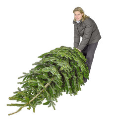 woman and christmas tree