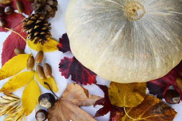 big pumpkin with berries and colorful leaves of different shapes and textures collected in the autumn garden