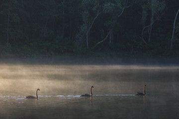 Sunrise in Pang Ung Maehongson Thailand