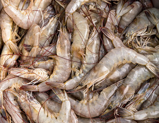 Fresh shrimp placed on a butcher ready to cook.