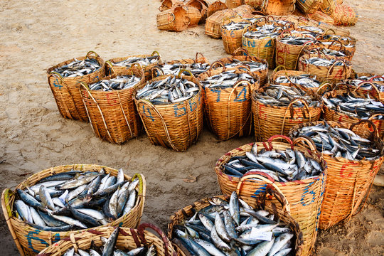 Fish Basket Market - Free photo on Pixabay - Pixabay