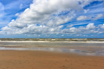 Landscape with sea beach.
