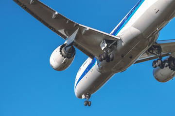 青空を滑空する旅客機