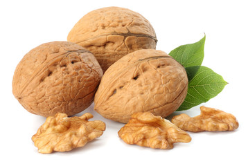 Green walnuts with leaves isolated on a white background