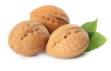 Green walnuts with leaves isolated on a white background