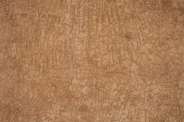 wall texture, Jodhpur, India