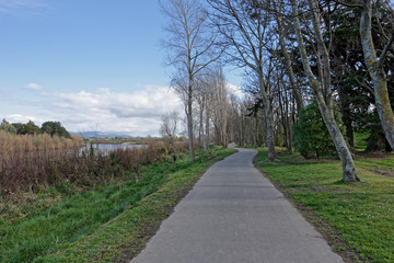 Fototapeta na wymiar A walkway through a park in Palmerston North New Zealand