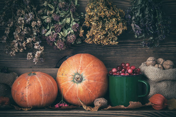 Autumn harvest still life: pumpkins, cranberries, walnuts and hanging bunches of healing herbs. Retro toned.