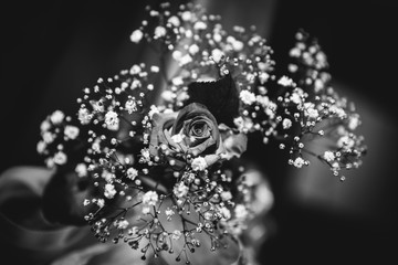 Rose en noir et blanc