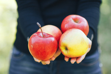 The girl is holding four ripe and fresh apples