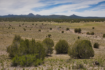 Landscape in Arizona