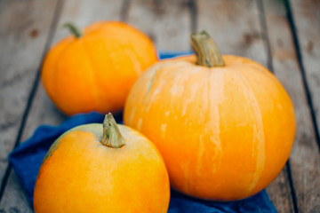 A large orange pumpkin on the blue towel on wooden background. Close-up, horizontal