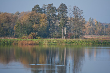 Jesień nad jeziorem