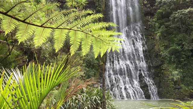 Karekare Falls as seeing through native bush in the Waitakere range near Auckland, New Zealand.
