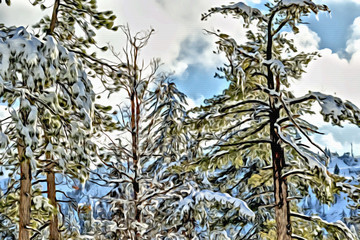 Acrylic Painting; Desert Plants Under Snow, Climate Change at Southern California, Big Bear Mountain, San Bernardino, 2016